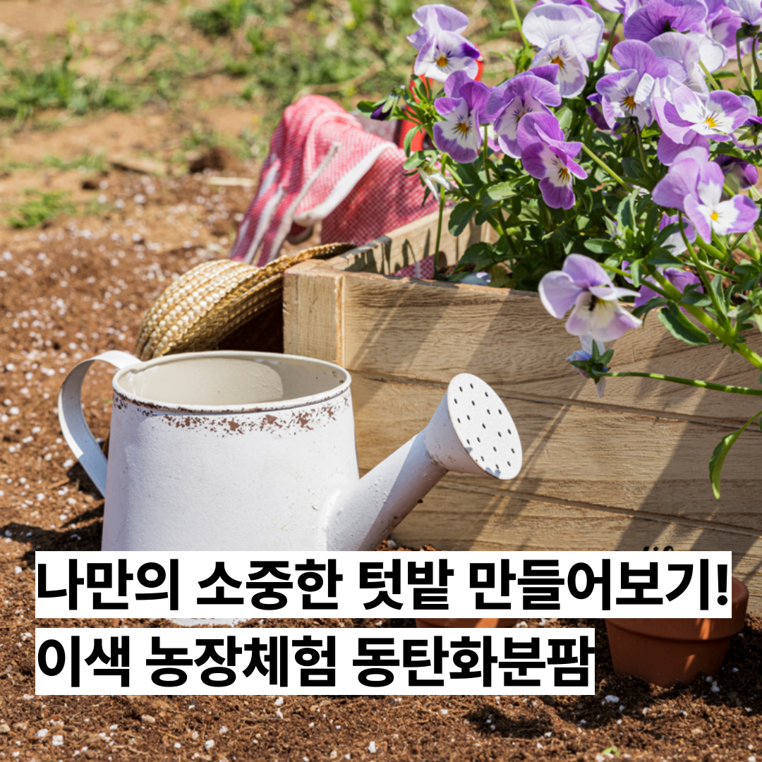 제목을-입력해주세요_-001 (6).png