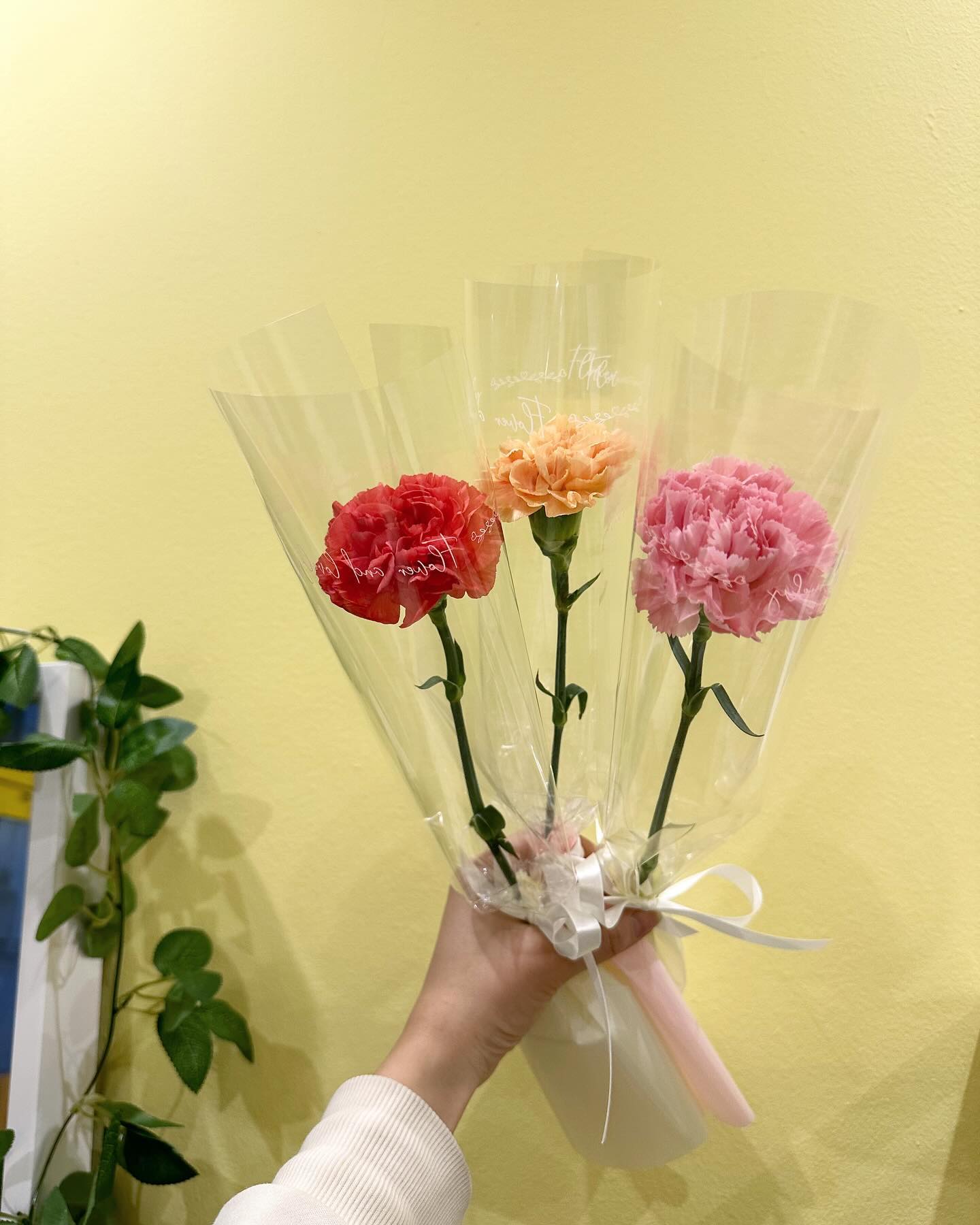 [image] - 5001448.jpg