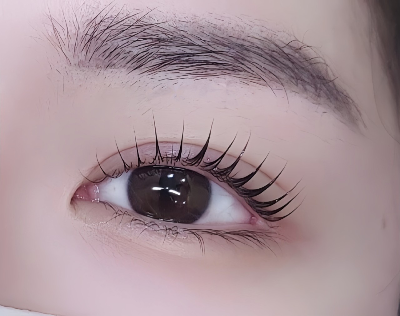 속눈썹메인사진.jpg