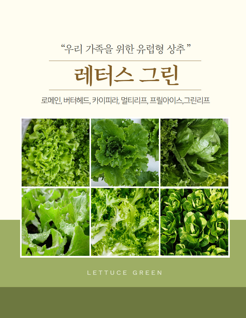 스크린샷 2024-10-20 044341.png
