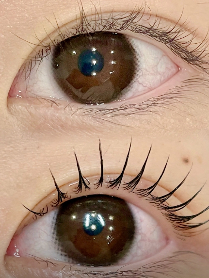 20241021_150648.jpg