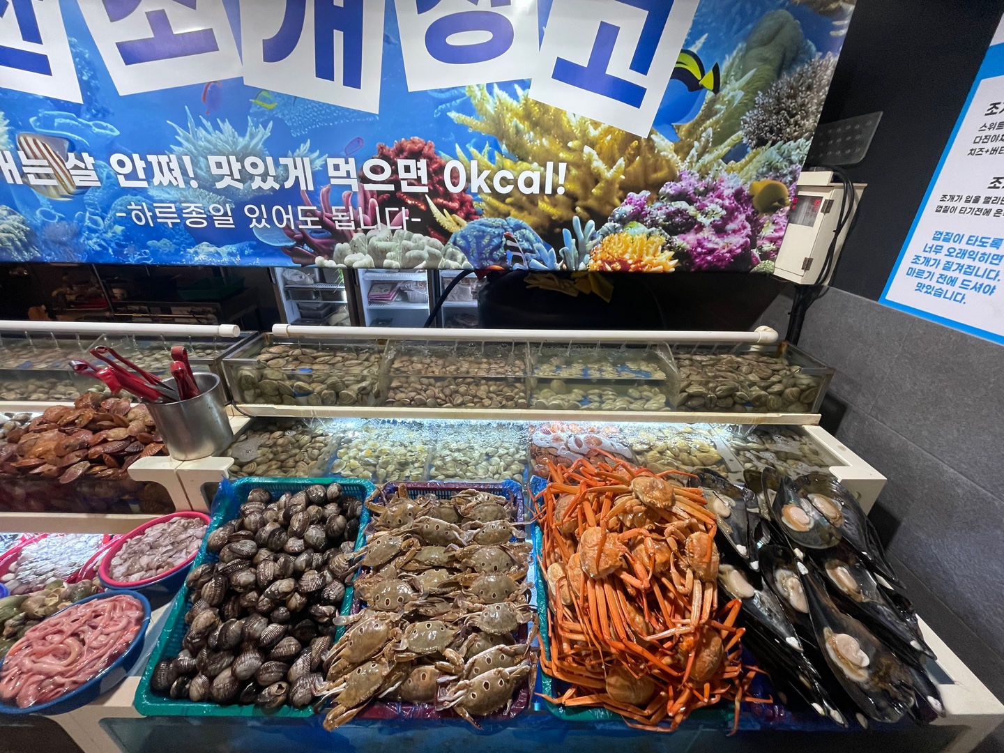 KakaoTalk_20241128_221232255.jpg