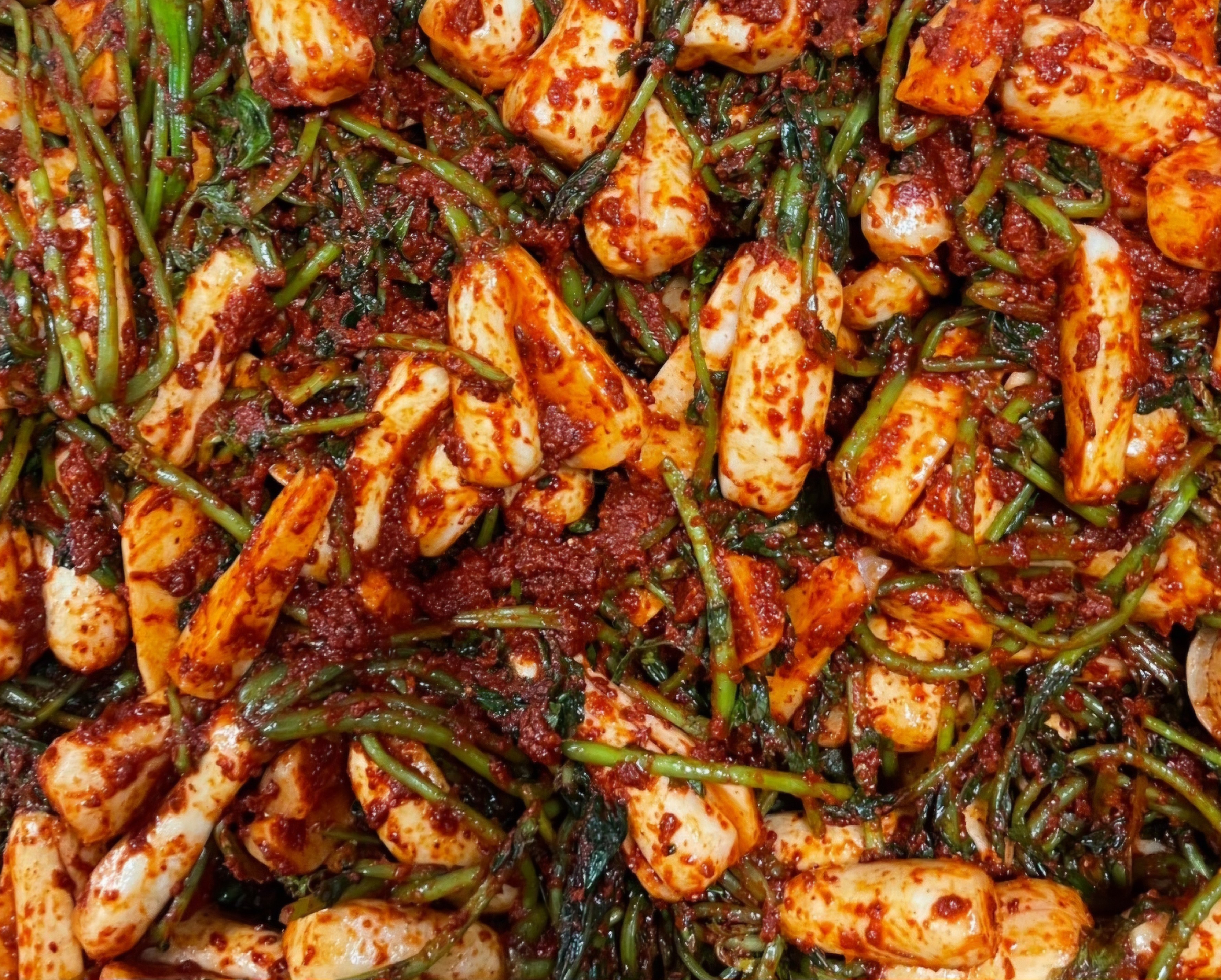 완벽알타리1.jpg