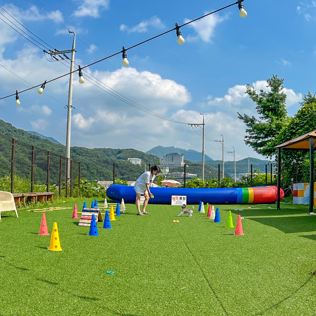 KakaoTalk_20230707_093025881_01.jpg