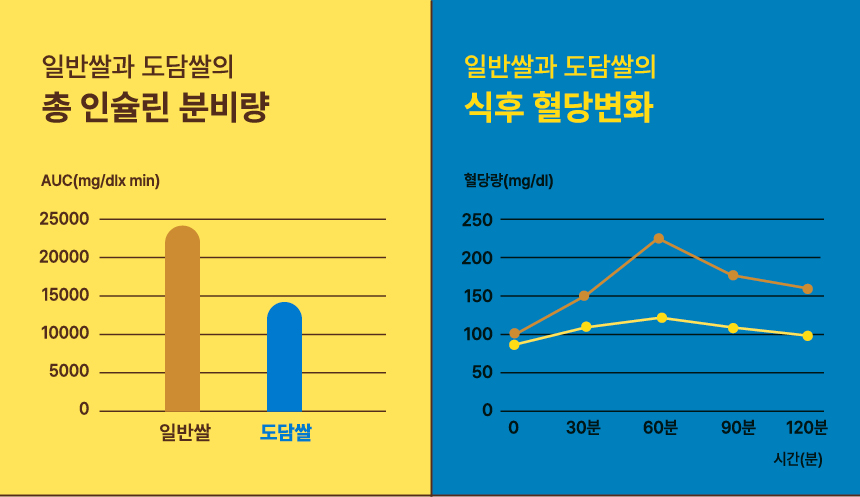 KakaoTalk_20250403_121859250_01.jpg