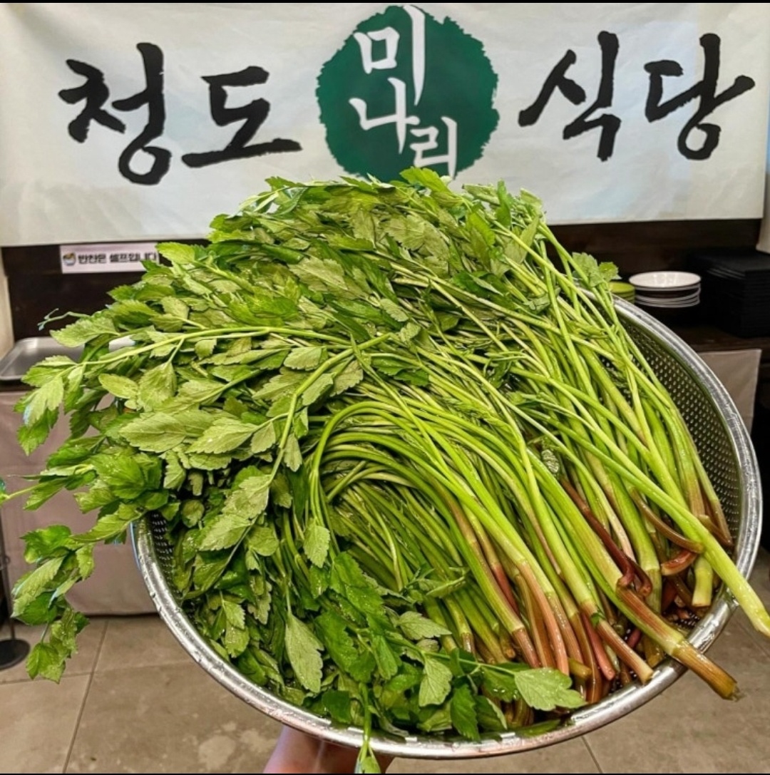 KakaoTalk_20250502_235018748_05.jpg