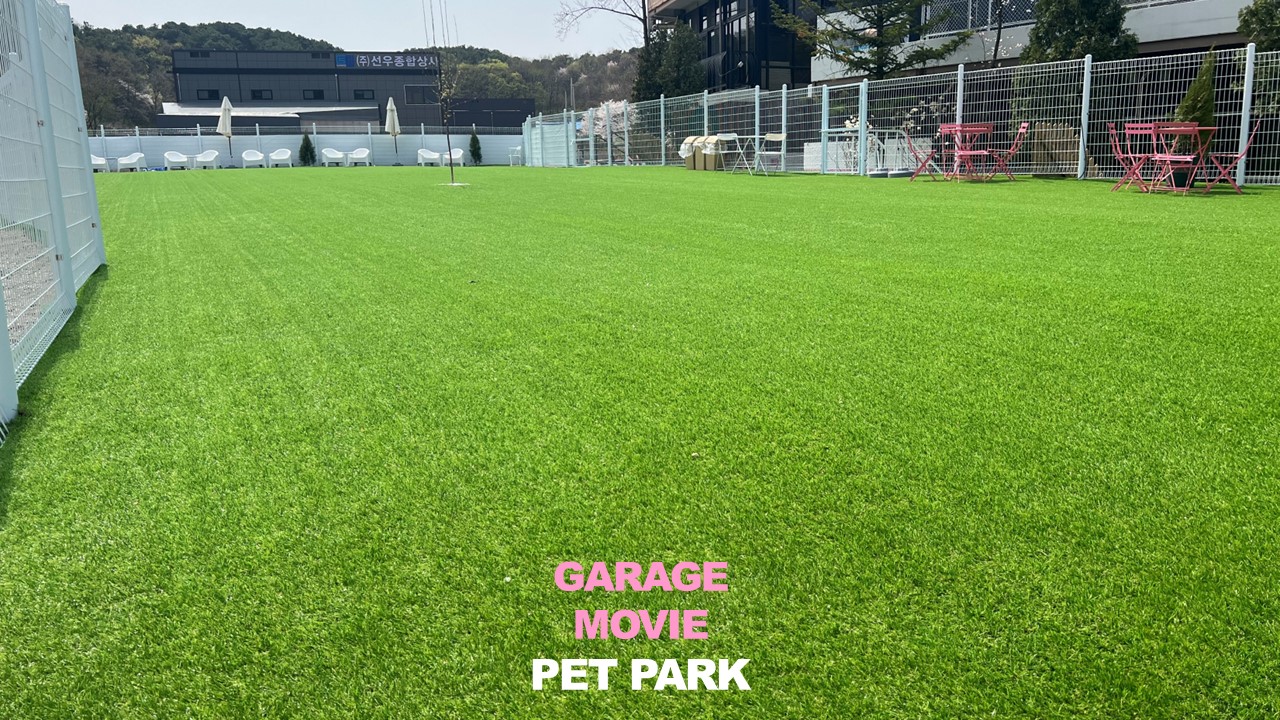 KakaoTalk_20250509_215810955_01.jpg